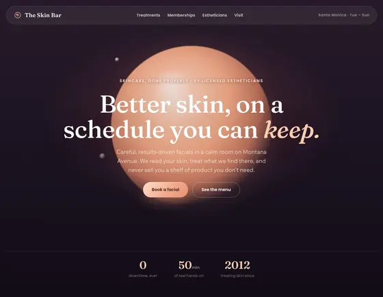 The Skin Bar, Facial & skin studio, Santa Monica. A sample site from our studio.