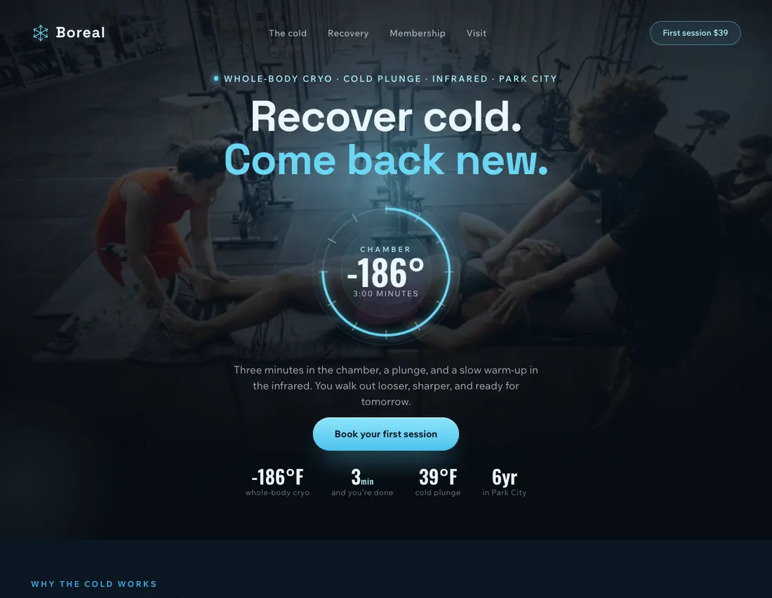 Home page of Boreal, an example site for cryotherapy & cold recovery in Park City